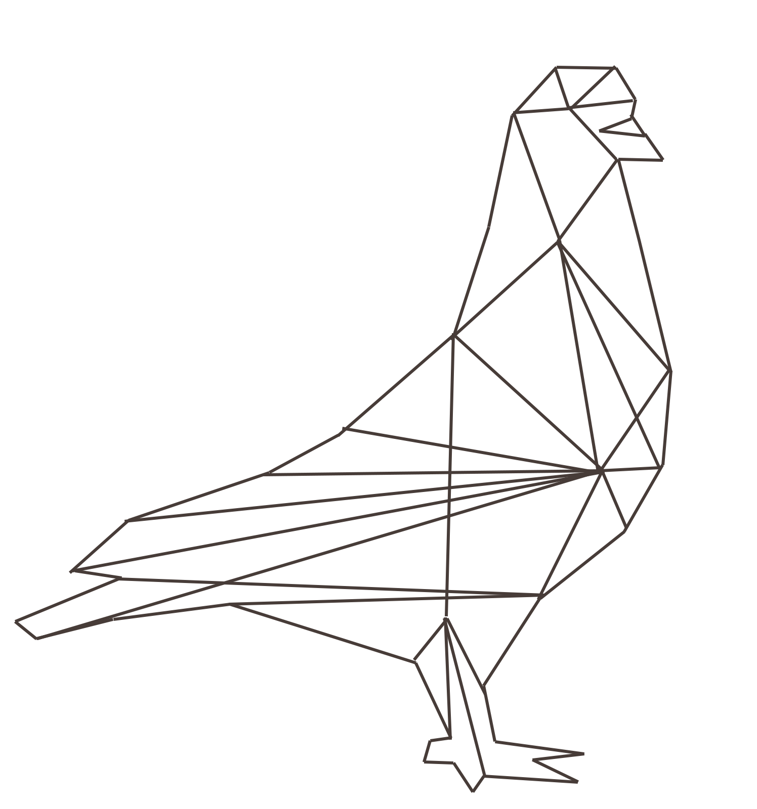 Pigeonneaux de la Radière – EARL des Cytises